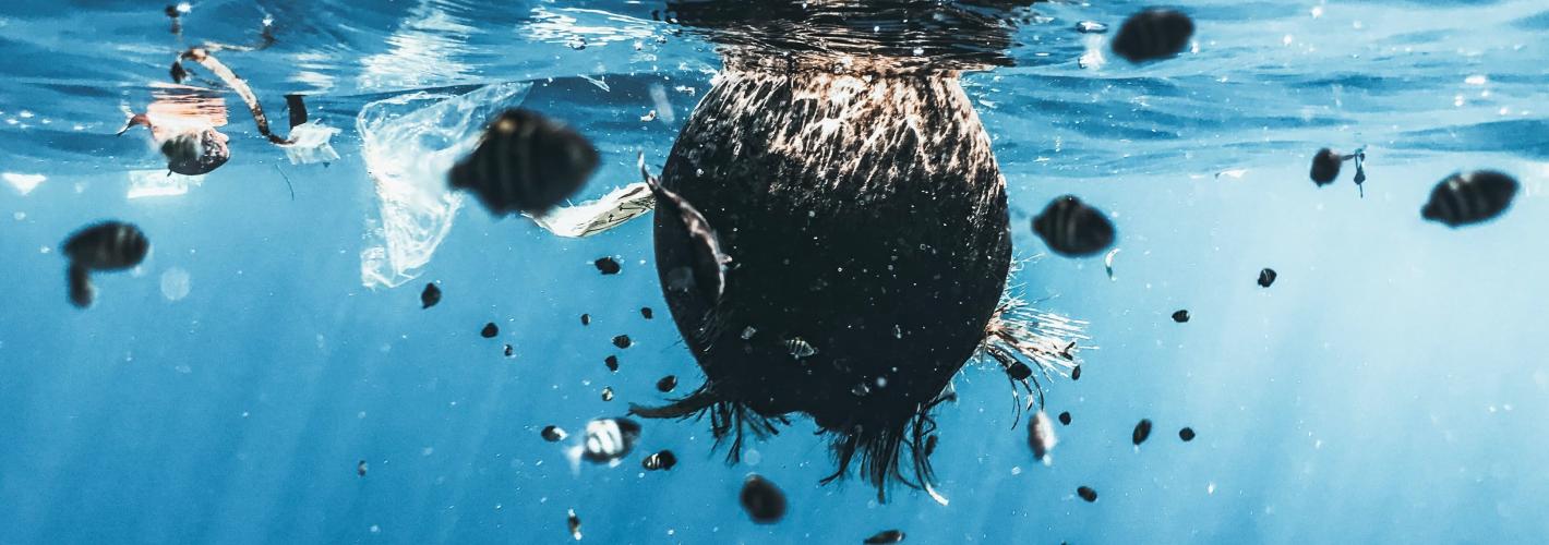 Pollution des océans par les déchets plastiques